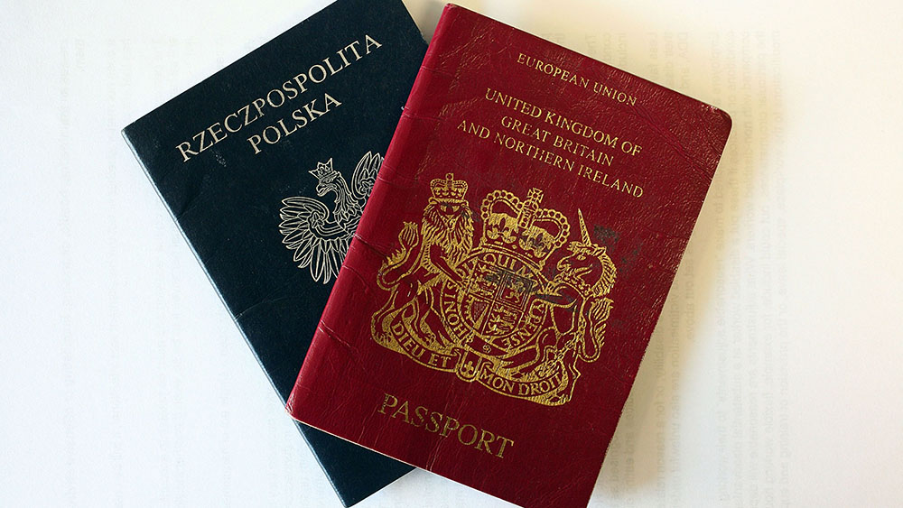 Dual Nationality