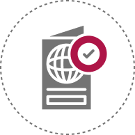 visa processing icon